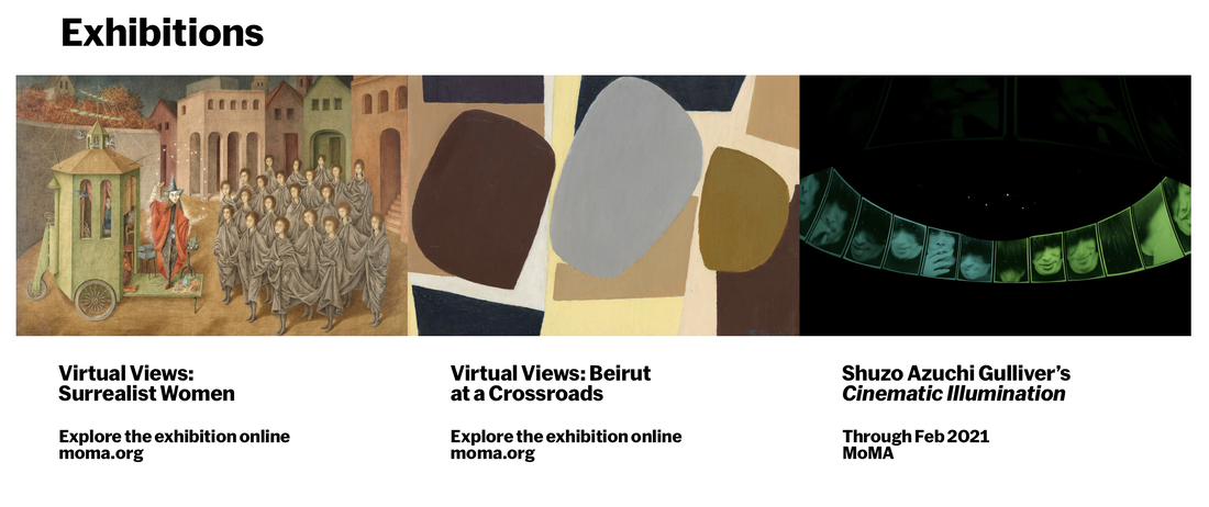 Screen Shot MoMA: Virtual Views